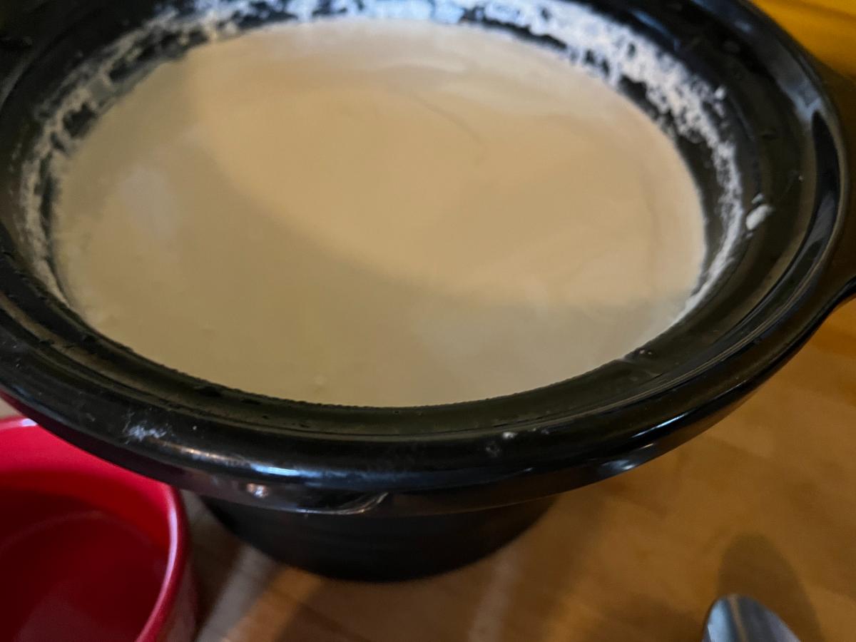 Homemade yogurt in a crock pot