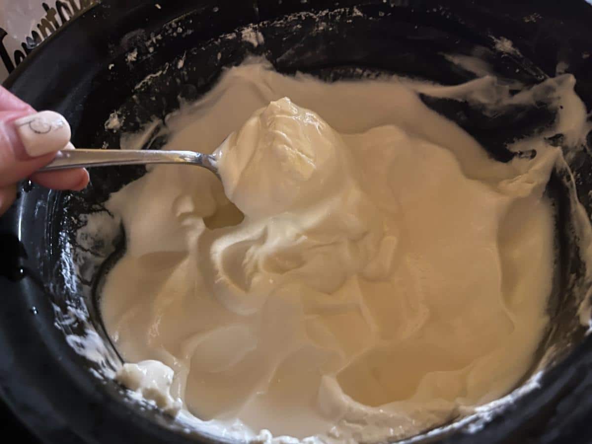 Homemade plain yogurt