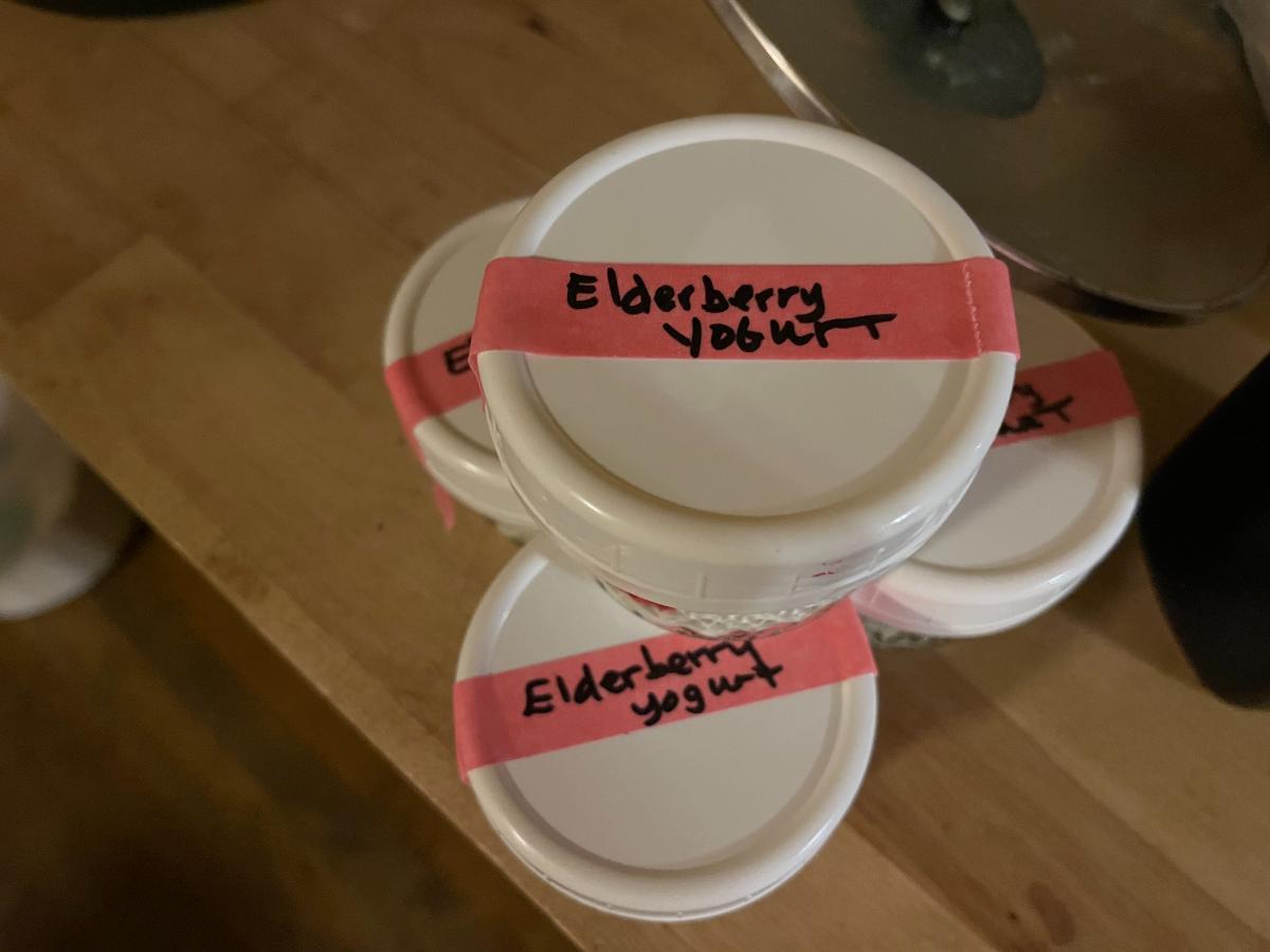 Jars of homemade elderberry yogurt