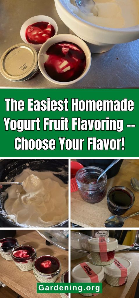 The Easiest Homemade Yogurt Fruit Flavoring -- Choose Your Flavor! pinterest image