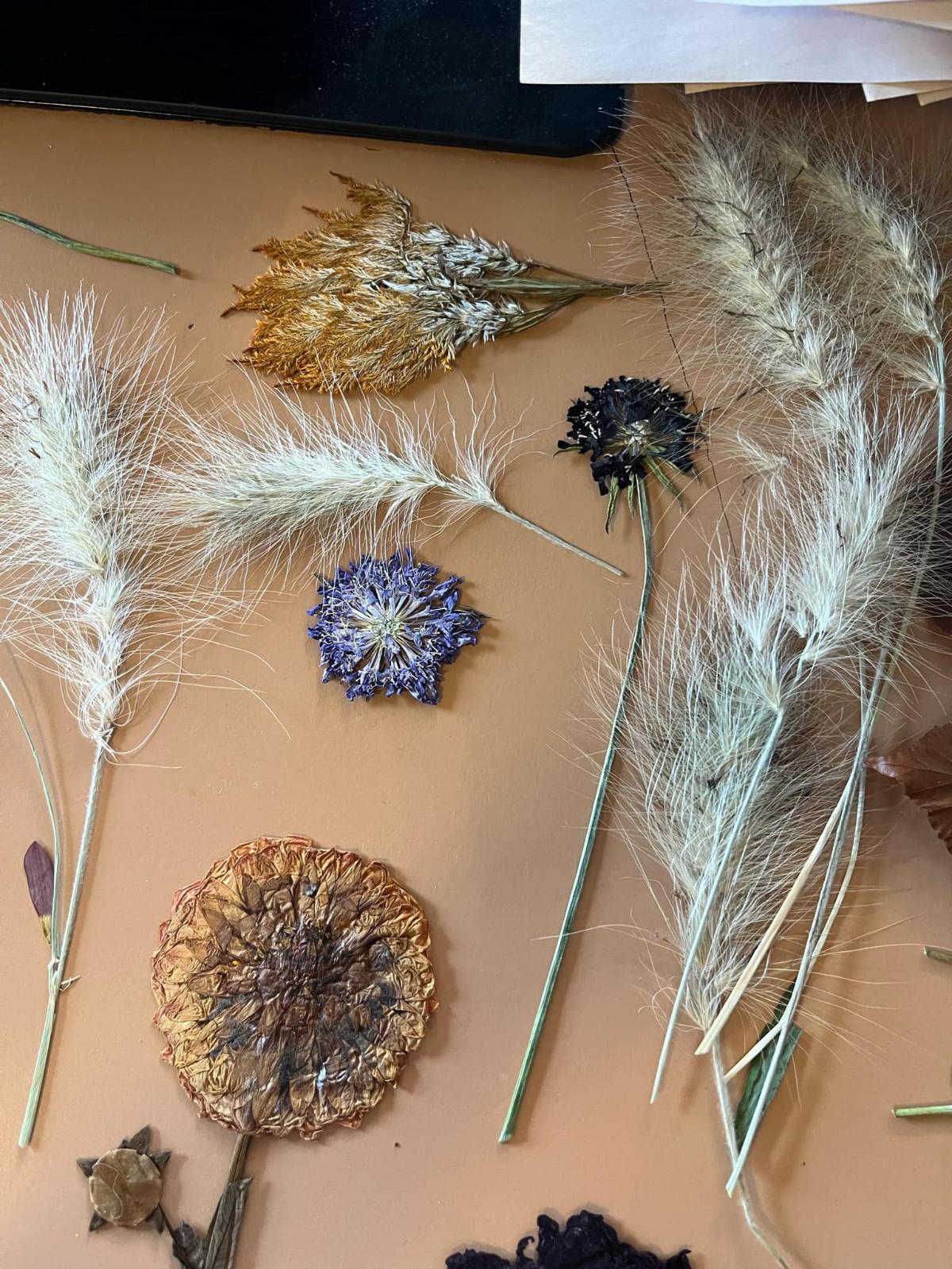 Flowers dried with a dehydrator