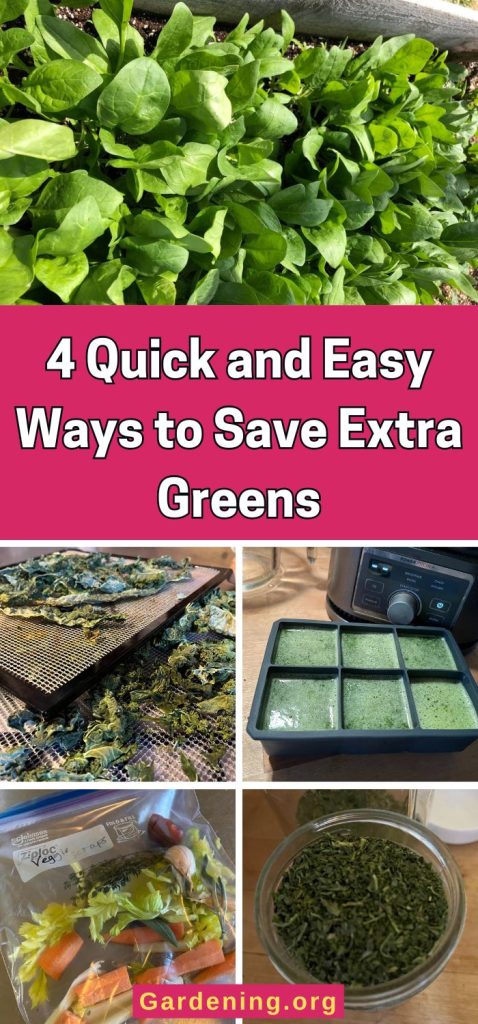 4 Quick and Easy Ways to Save Extra Greens pinterest image