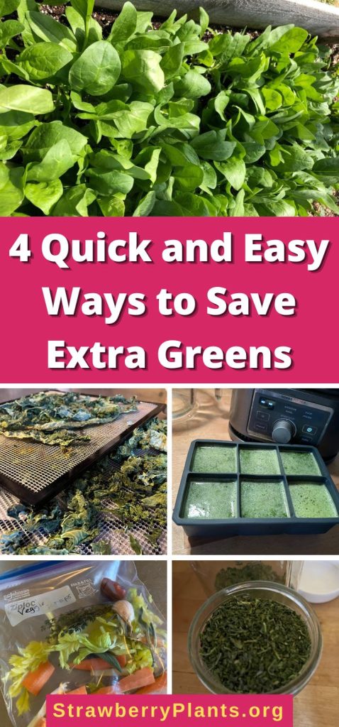 4 Quick and Easy Ways to Save Extra Greens pinterest image