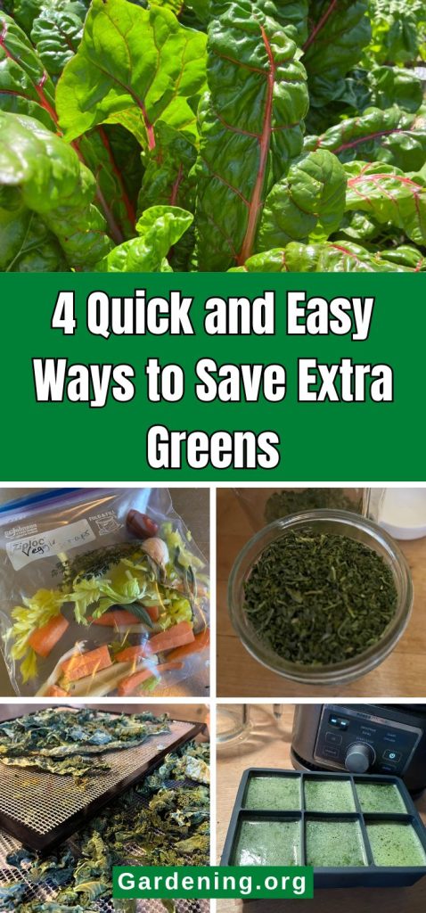 4 Quick and Easy Ways to Save Extra Greens pinterest image