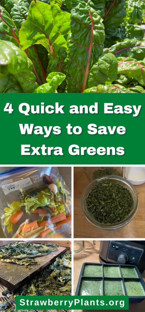 4 Quick and Easy Ways to Save Extra Greens pinterest image