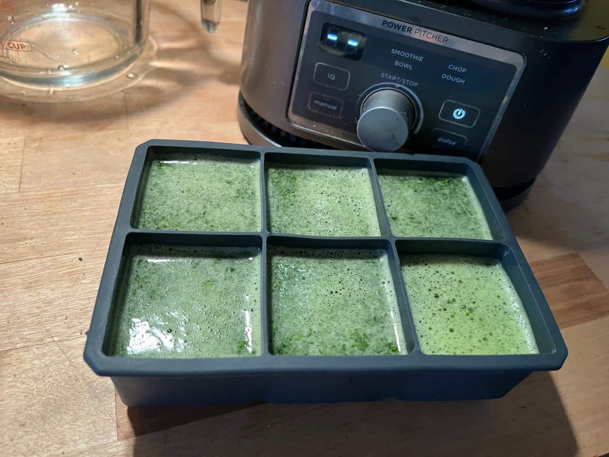 Cubes of frozen greens for cooking and smoothies