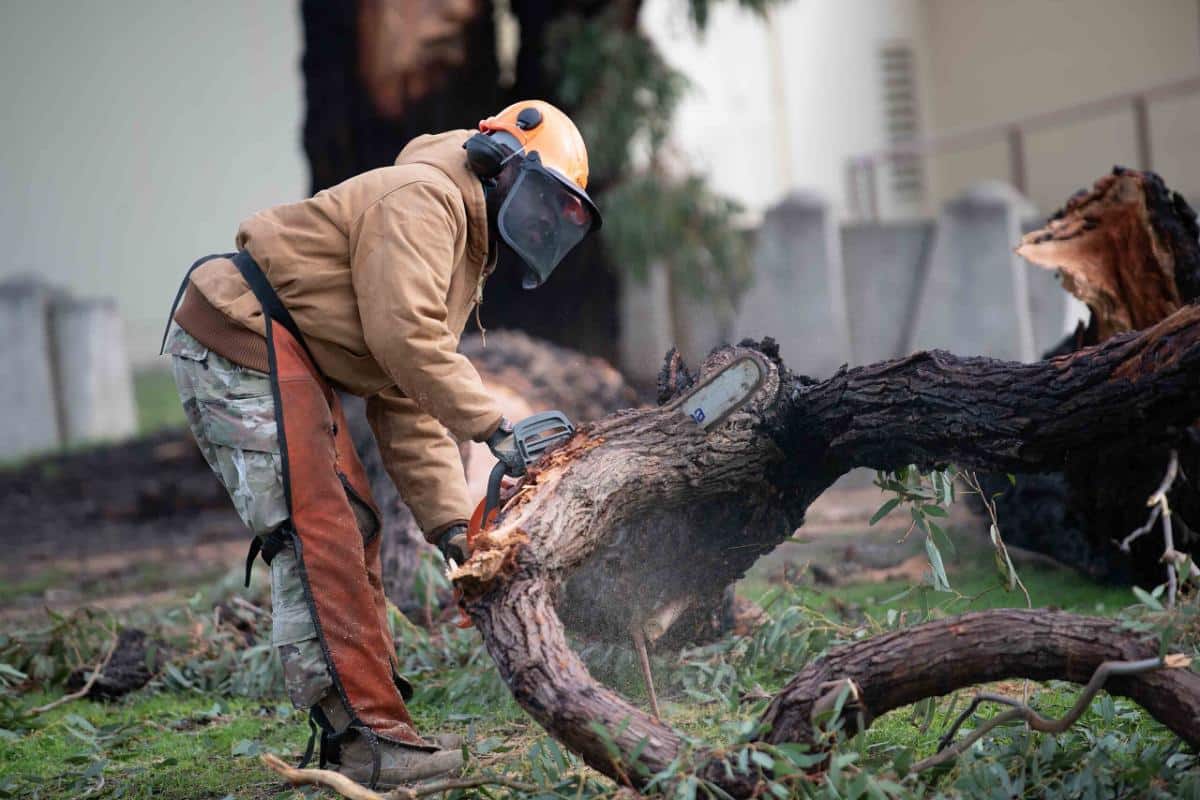 Person using a chainsaw in safety gear