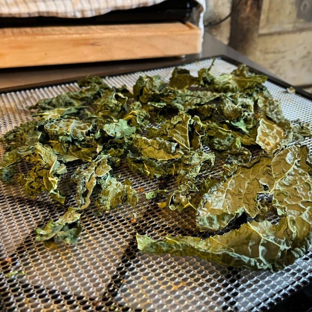 Dried kale on a dehydrator tray.