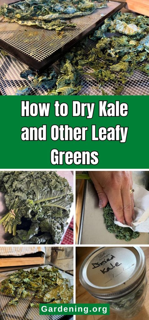 How to Dry Kale and Other Leafy Greens pinterest image