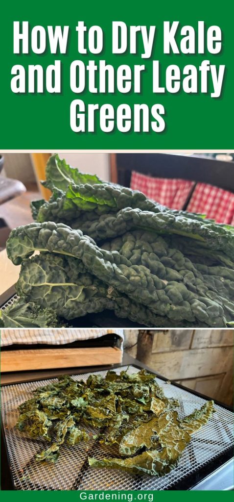 How to Dry Kale and Other Leafy Greens pinterest image