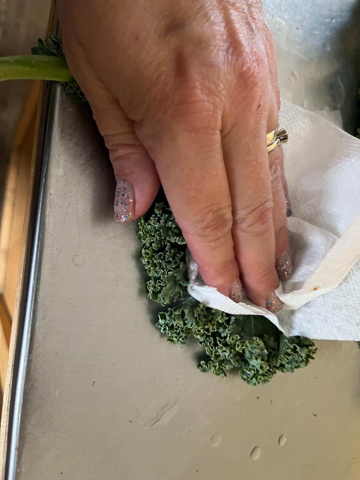 Patting dry Kale leaves