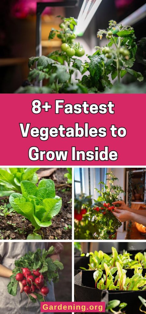 8+ Fastest Vegetables to Grow Inside pinterest image