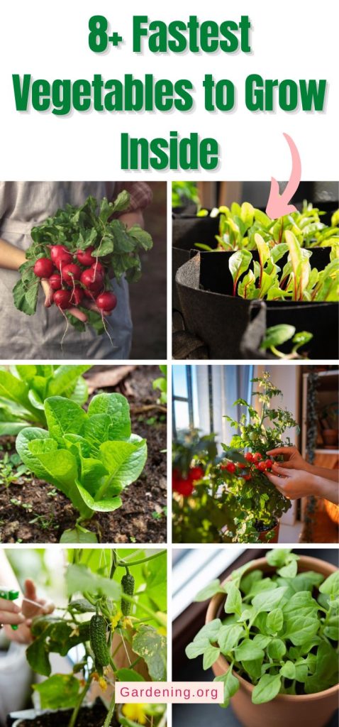 8+ Fastest Vegetables to Grow Inside pinterest image