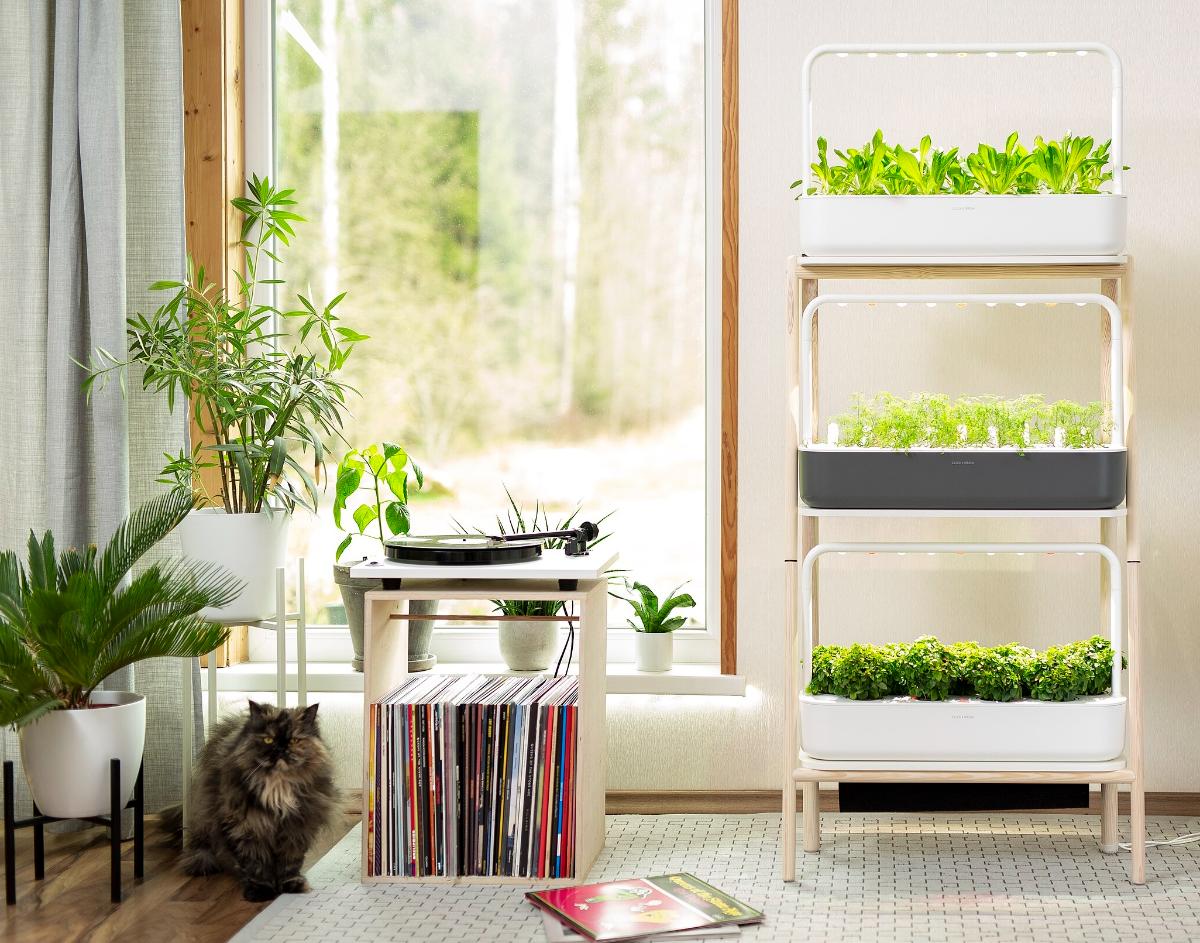 Grow lights for homegrown herbs