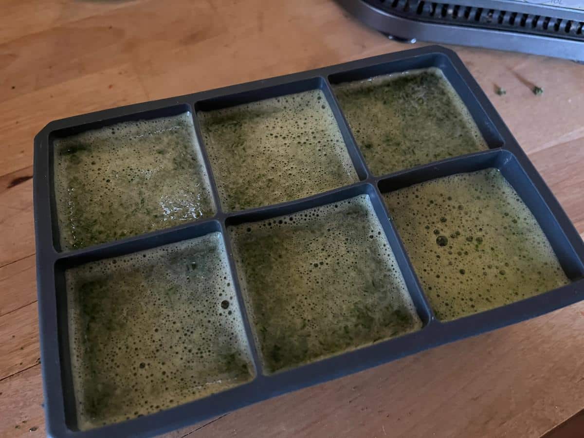 Spinach ice cubes