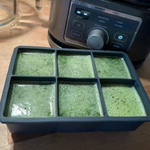 Easy Spinach Freezer Cubes