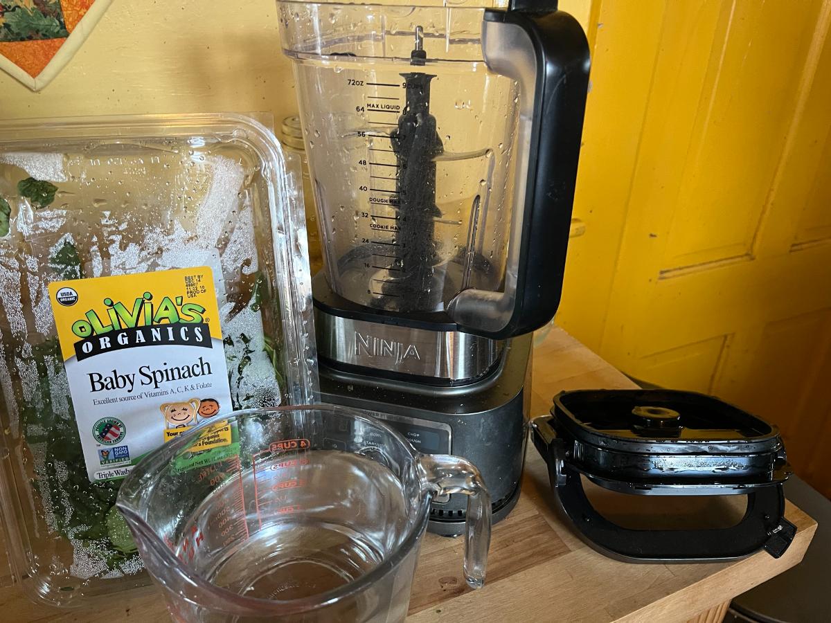 Supplies for making freezer spinach cubes