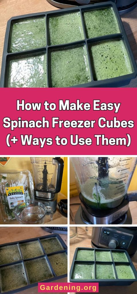 How to Make Easy Spinach Freezer Cubes (+ Ways to Use Them) pinterest image