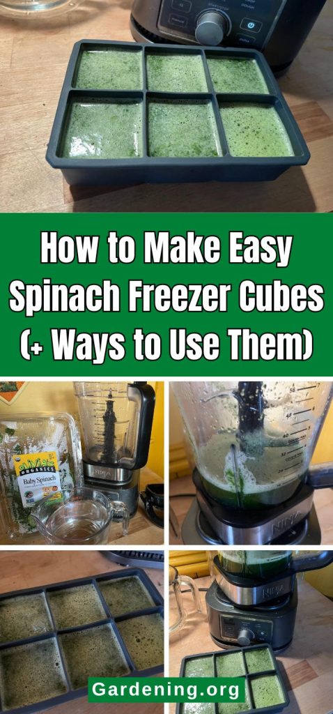 How to Make Easy Spinach Freezer Cubes (+ Ways to Use Them) pinterest image