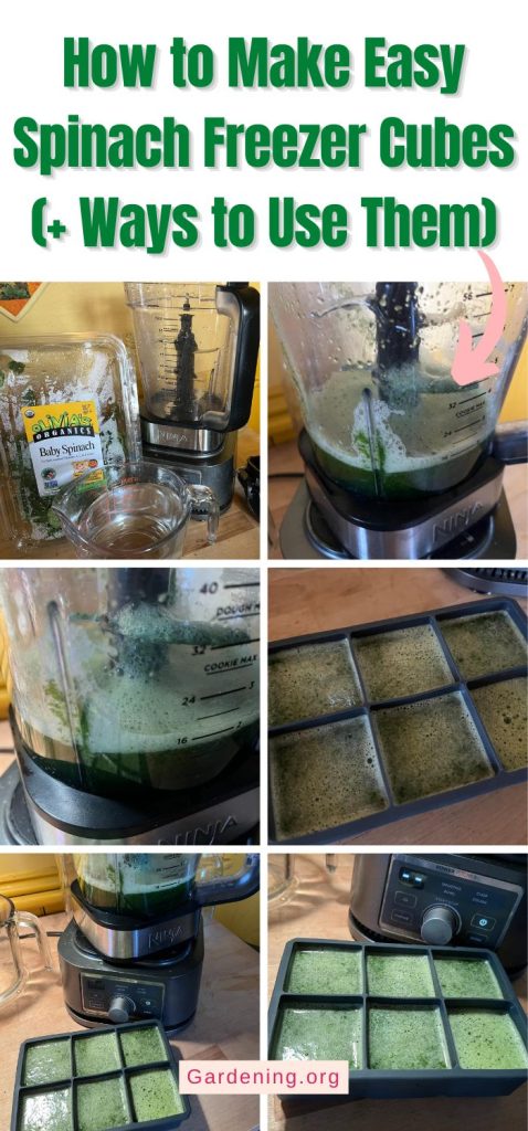 How to Make Easy Spinach Freezer Cubes (+ Ways to Use Them) pinterest image