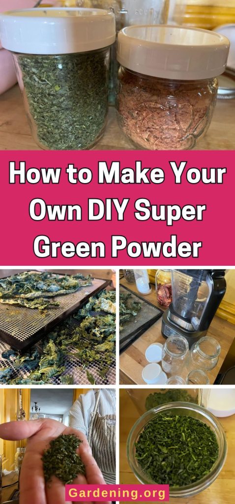 How to Make Your Own DIY Super Green Powder pinterest image