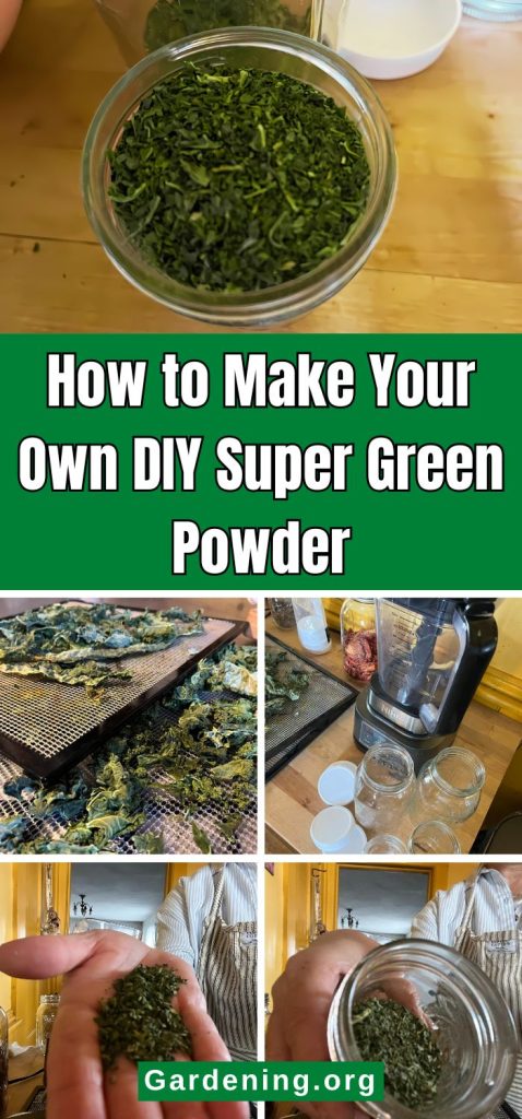 How to Make Your Own DIY Super Green Powder pinterest image