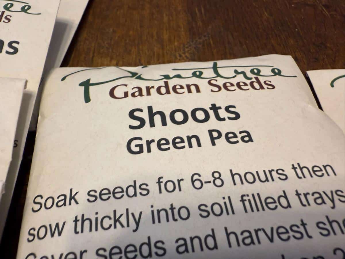 Seeds for growing shoots indoors, pea shoots