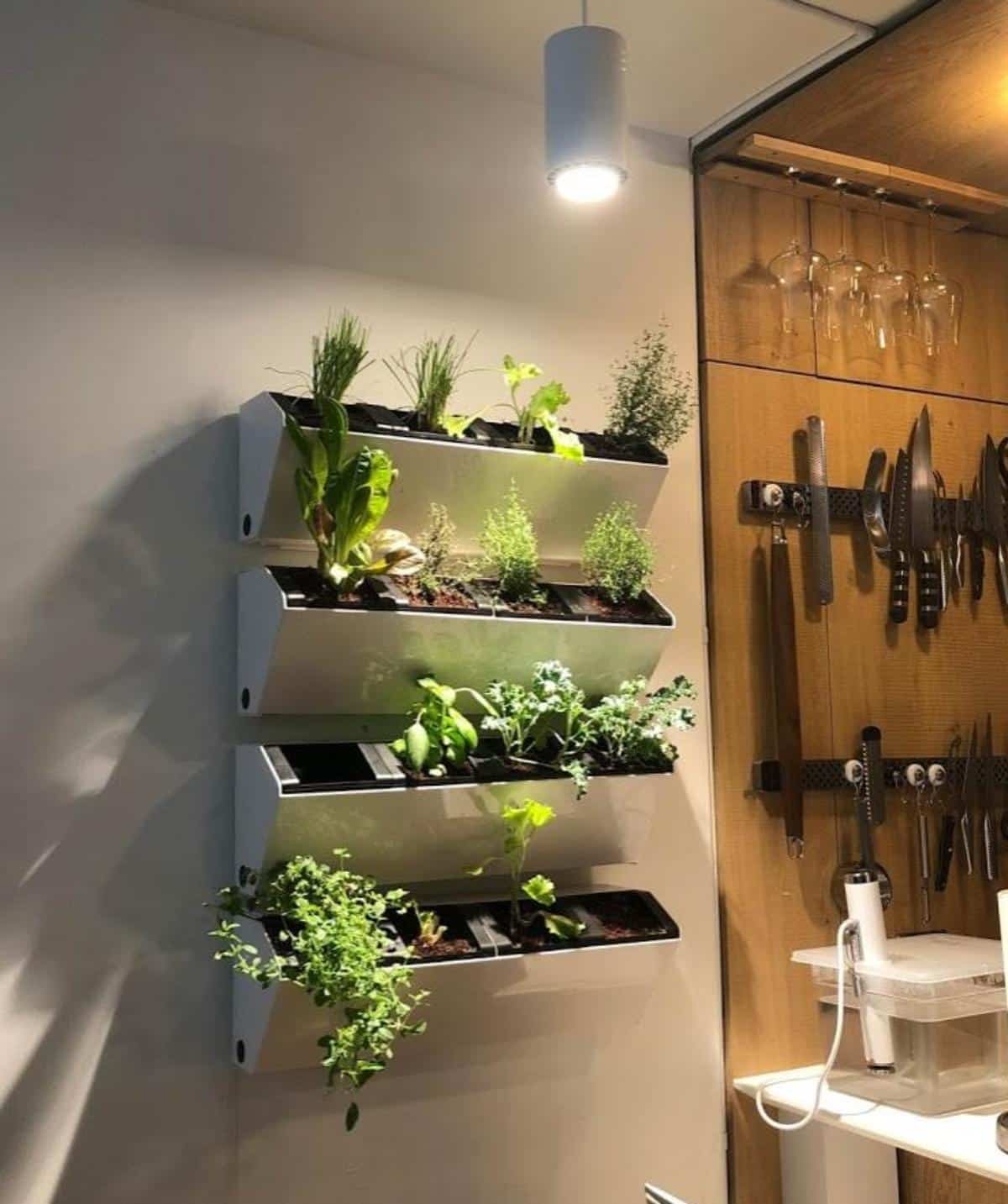 An indoor vertical garden