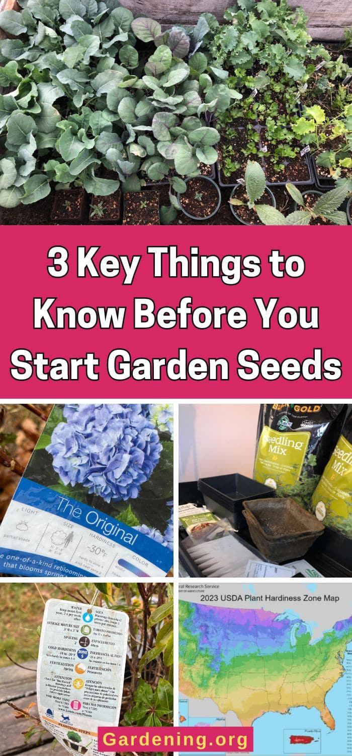 3 Key Things to Know Before You Start Garden Seeds pinterest image.