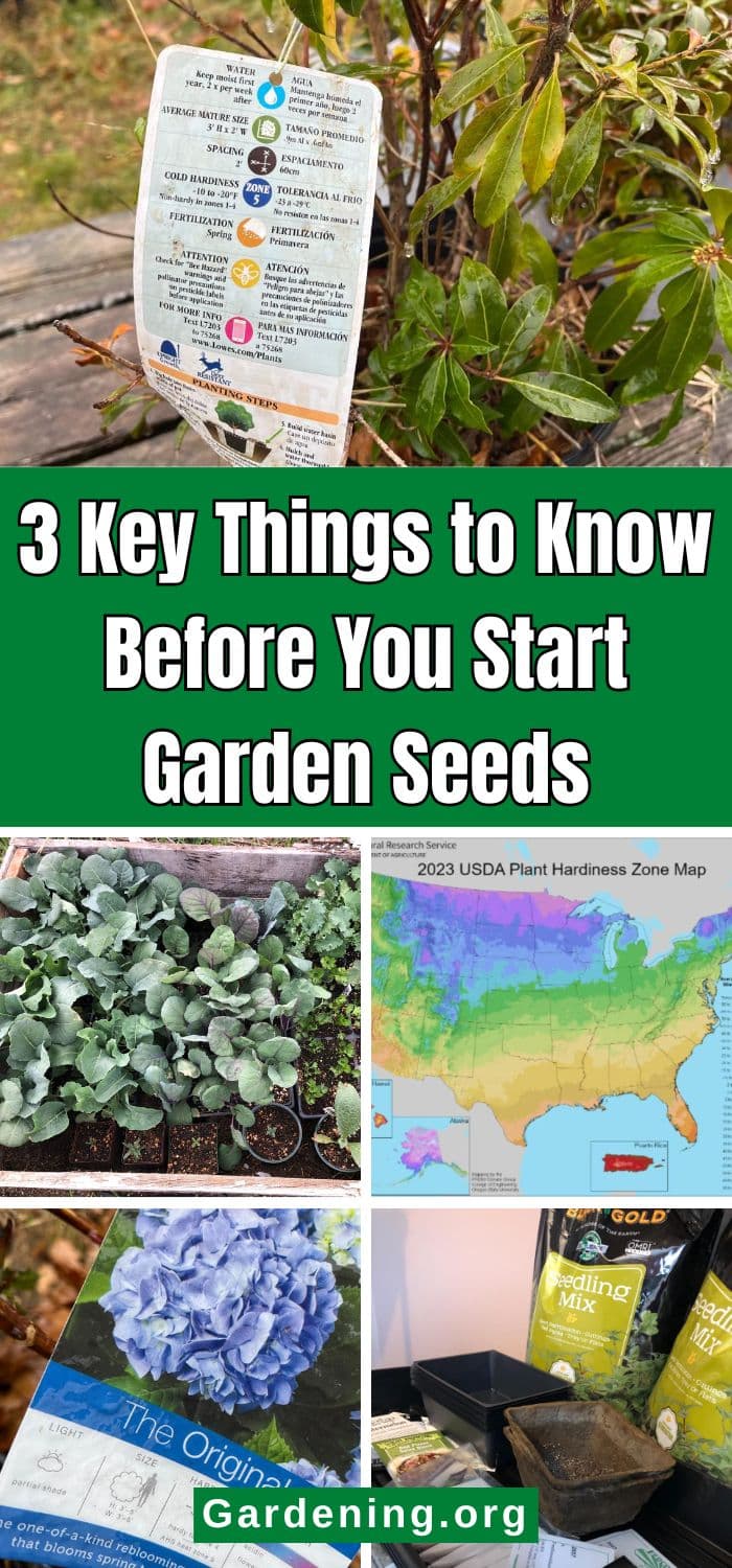 3 Key Things to Know Before You Start Garden Seeds pinterest image.