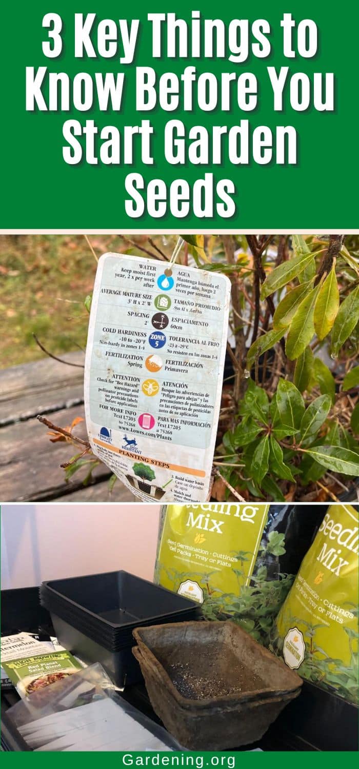 3 Key Things to Know Before You Start Garden Seeds pinterest image.