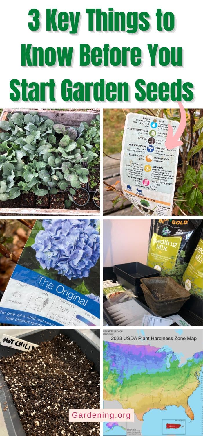 3 Key Things to Know Before You Start Garden Seeds pinterest image.