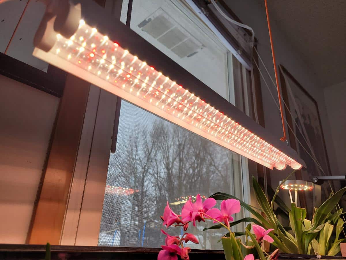 Inexpensive indoor grow light