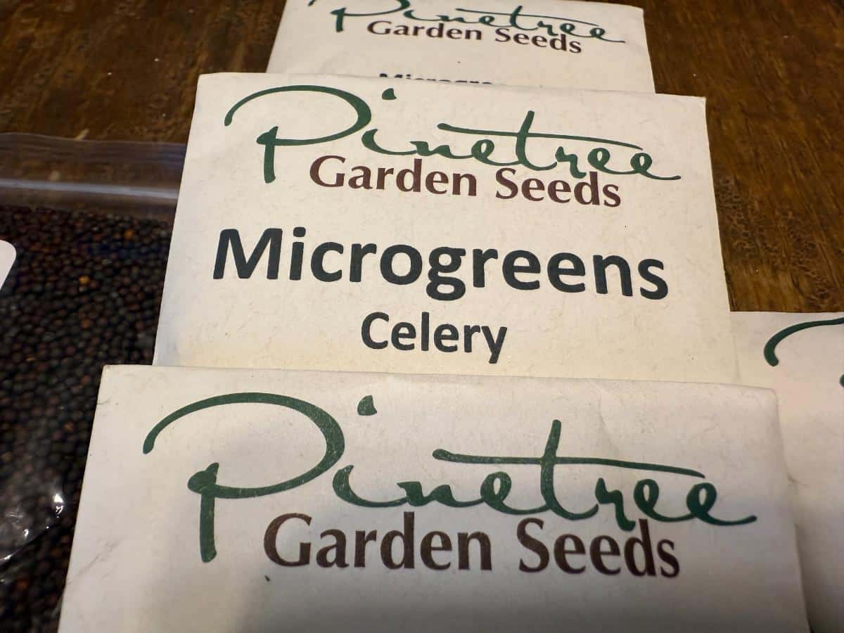 Microgreens seeds for growing indoors