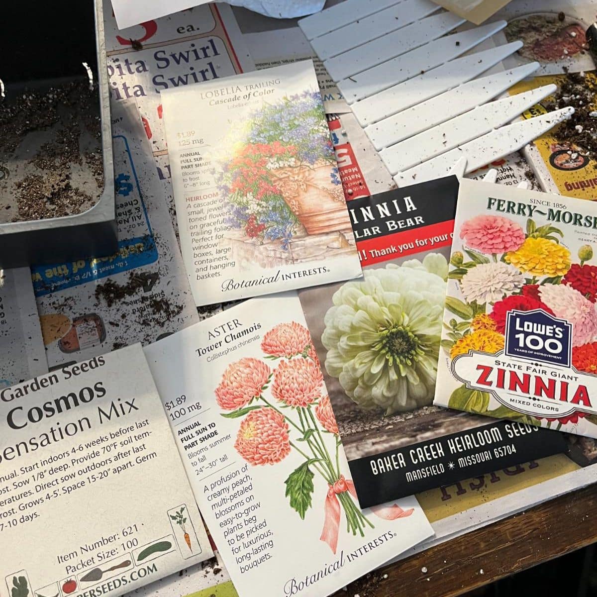 Seed starting supplies on a table.