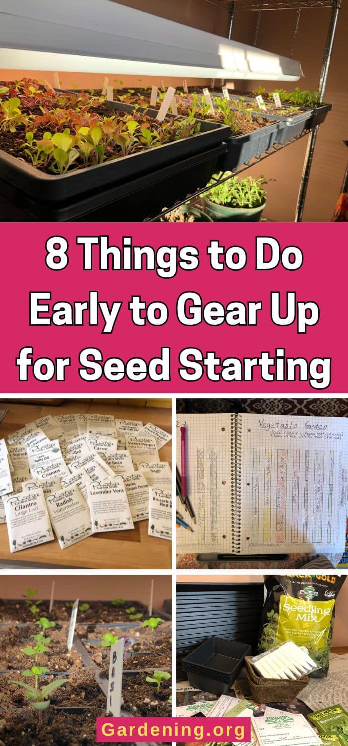 8 Things to Do Early to Gear Up for Seed Starting pinterest image