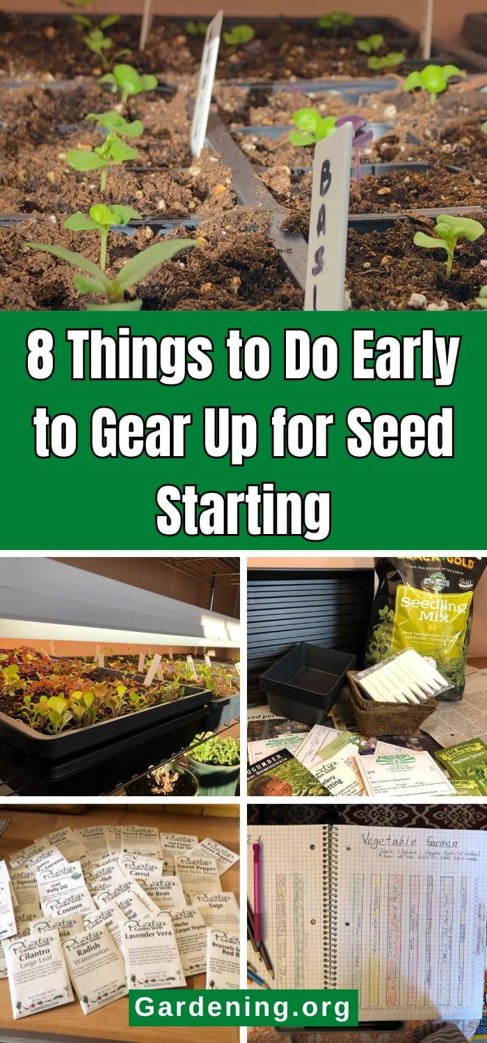 8 Things to Do Early to Gear Up for Seed Starting pinterest image