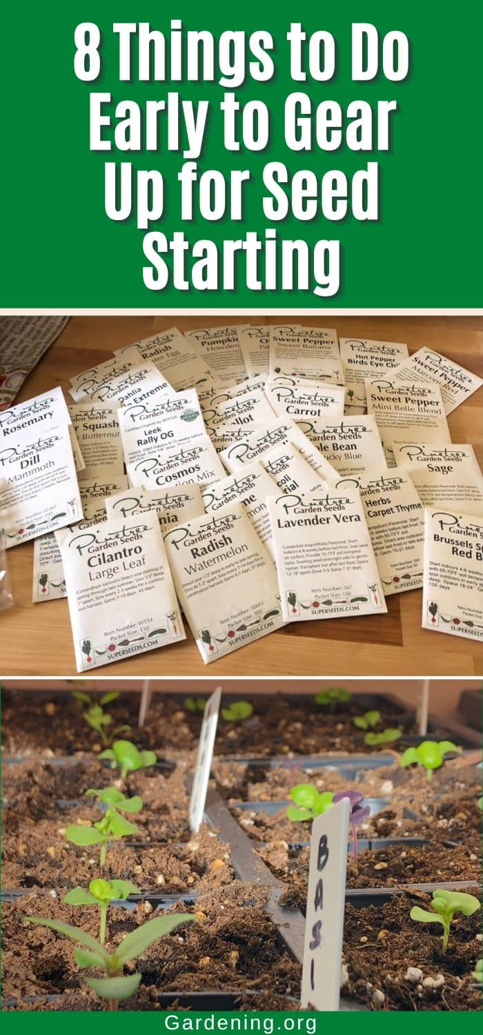 8 Things to Do Early to Gear Up for Seed Starting pinterest image