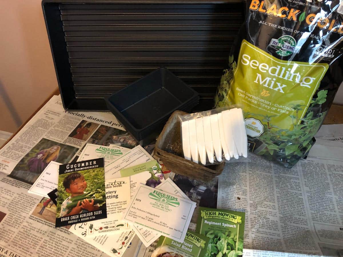 Seed Starting supplies