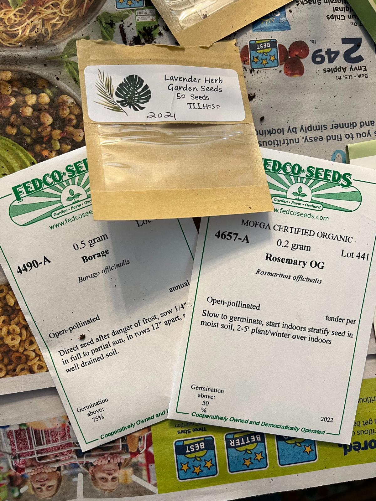 Seeds for starting herbs indoors