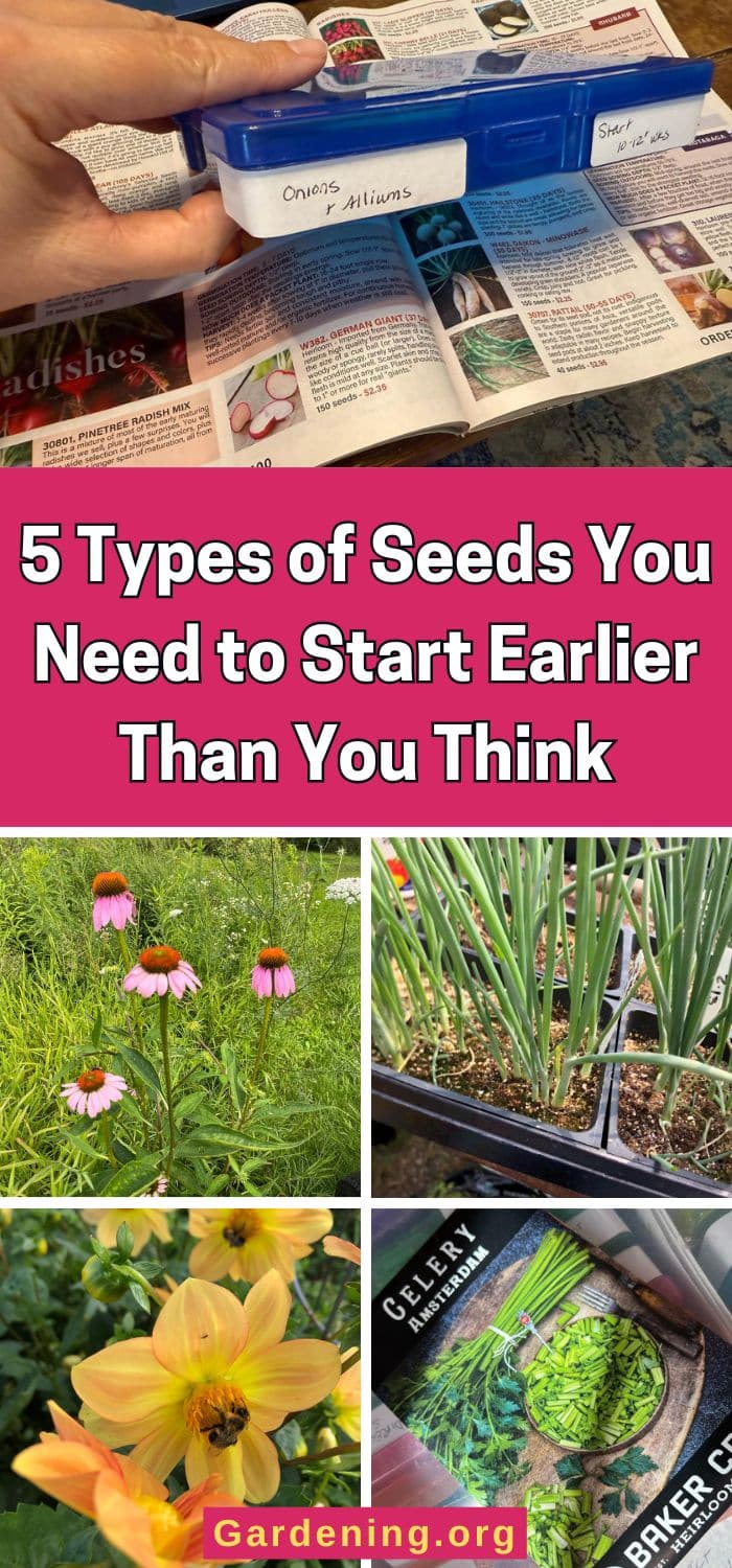 5 Types of Seeds You Need to Start Earlier Than You Think pinterest image