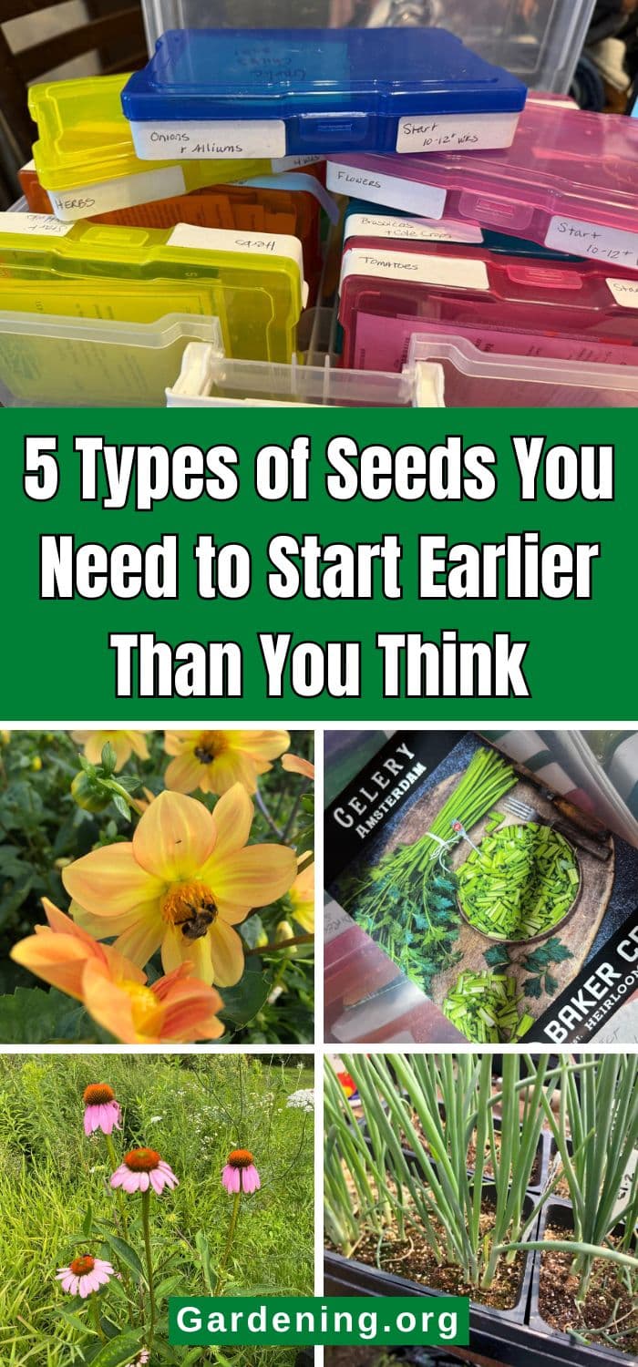 5 Types of Seeds You Need to Start Earlier Than You Think pinterest image