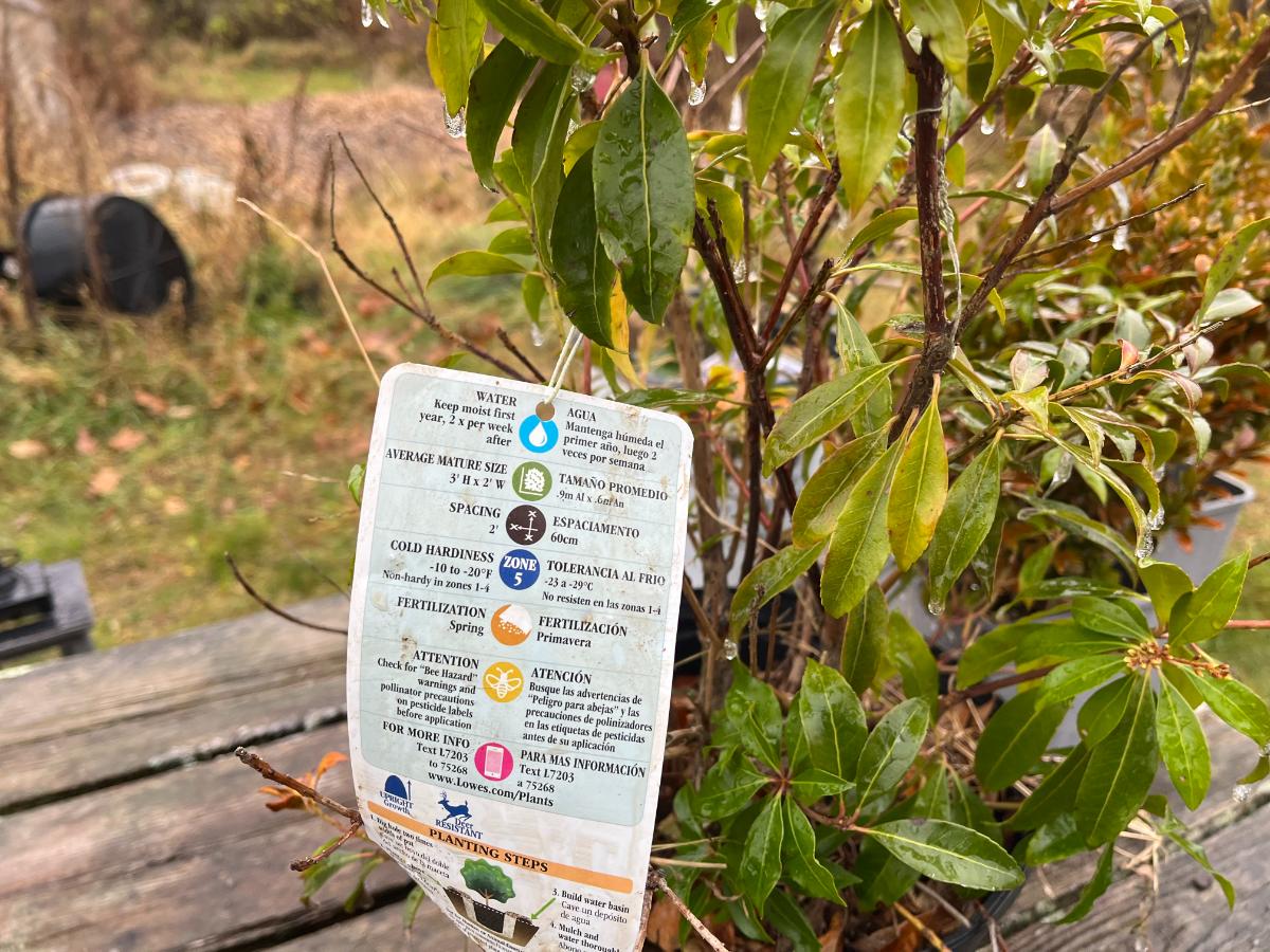 Hardiness zone tag on a plant