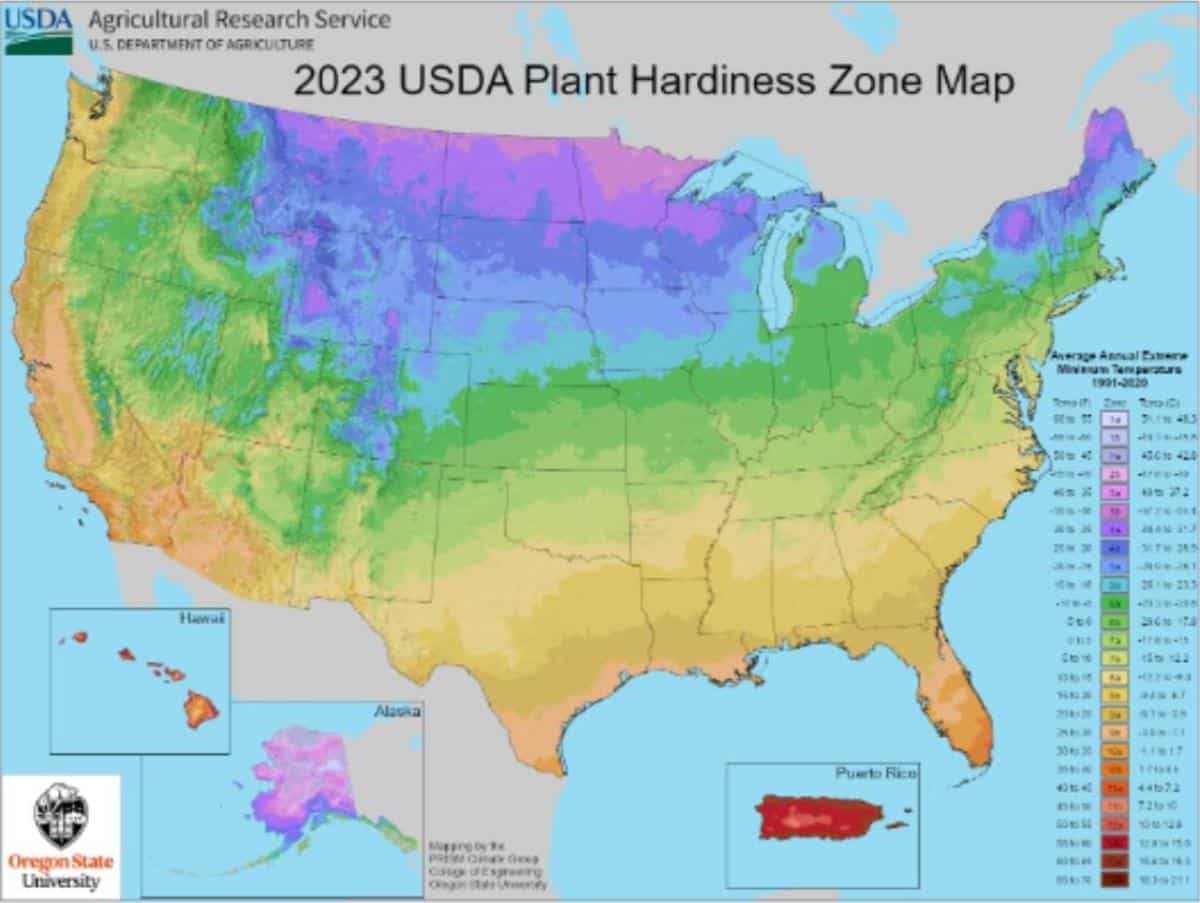 USDA plant hardiness zone map