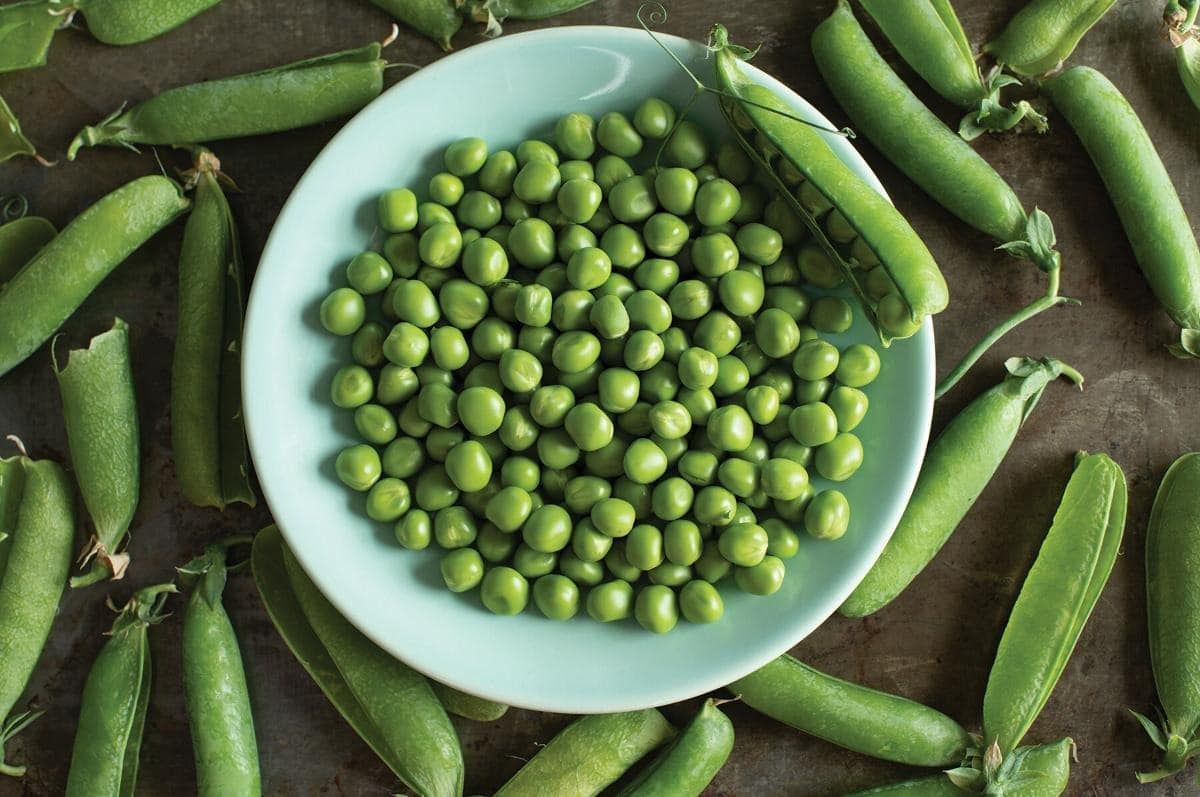 Bistro peas