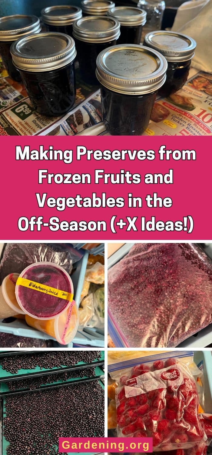 Making Preserves from Frozen Fruits and Vegetables in the Off-Season (+X Ideas!) pinterest image