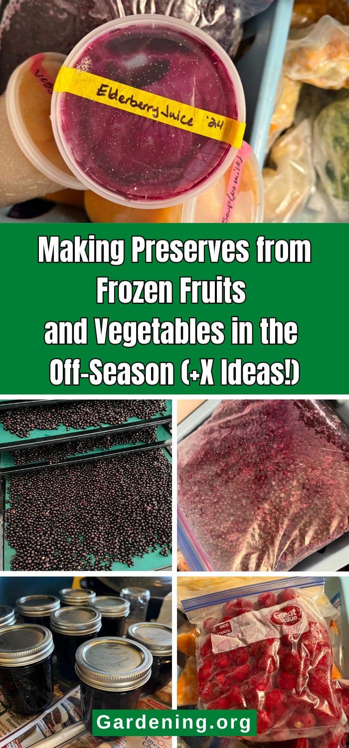 Making Preserves from Frozen Fruits and Vegetables in the Off-Season (+X Ideas!) pinterest image