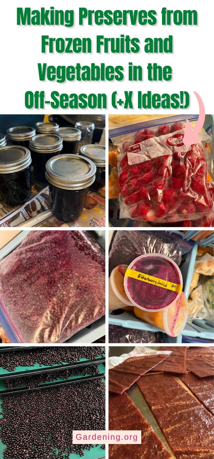 Making Preserves from Frozen Fruits and Vegetables in the Off-Season (+X Ideas!) pinterest image