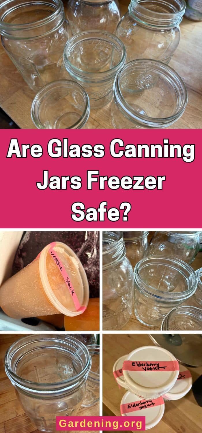 Are Glass Canning Jars Freezer Safe? pinterest image