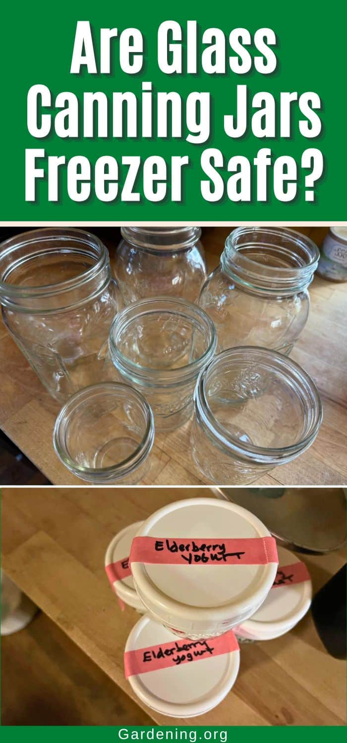 Are Glass Canning Jars Freezer Safe? pinterest image